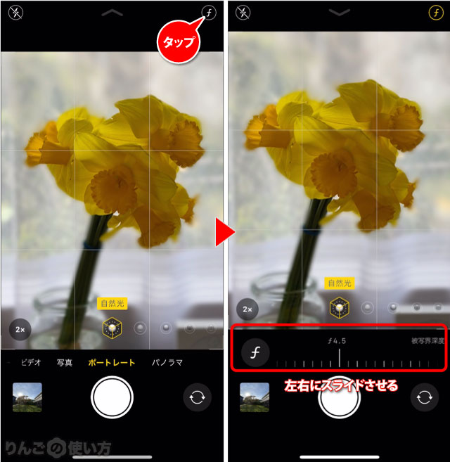 ポートレートモードのボケ（被写体深度）を変える方法 iPhone 11 iPhone 11 Pro